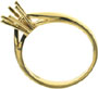Ringskinne, rødguld/hvidguld, 14 kt, 6 greb, højfatning.