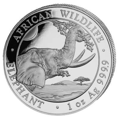 Somali Elephant Sølvmønt ( Kan laves til ring )