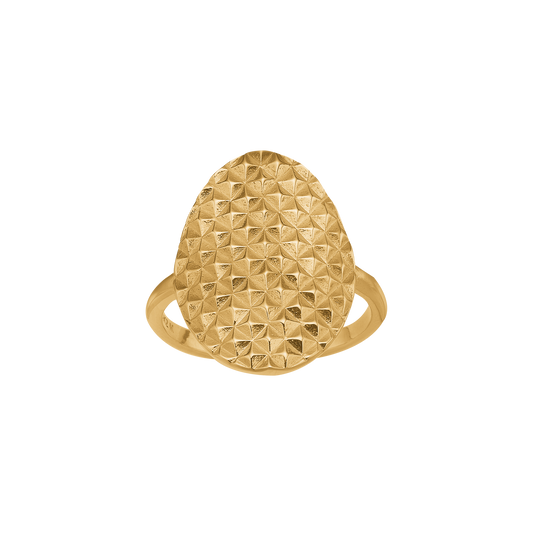 Ring Enjoy Today Forgyldt Sterling Sølv