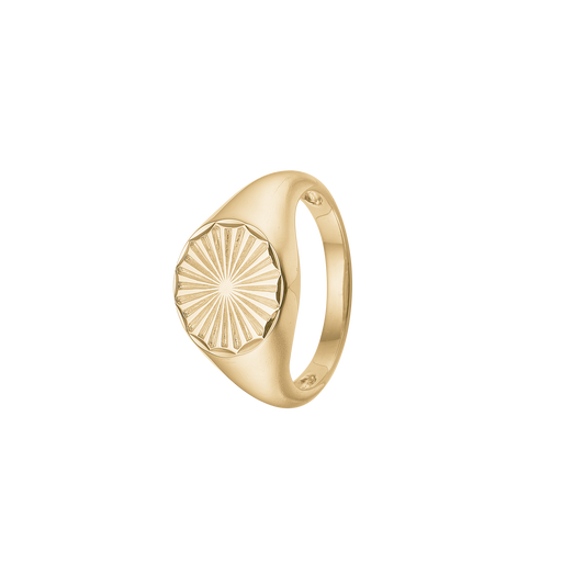 Ring Magic Coin Forgyldt Sterling Sølv