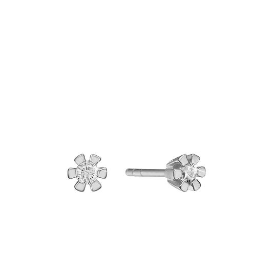Eternity Ørestikker 14 Karat Hvidguld Med 2x0,25ct W/SI Diamant
