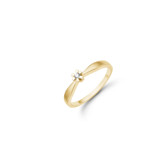 Eternity Ring 8 Karat Guld Med 0,03ct W/SI Diamant