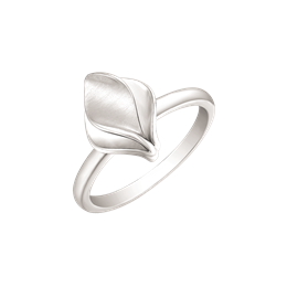 Sølv ring rhodineret mat øje oven på blank.