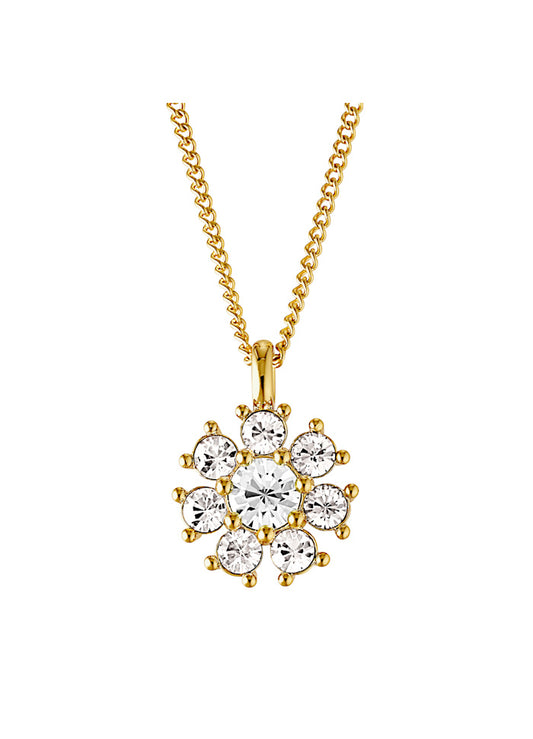 DELISE SG CRYSTAL