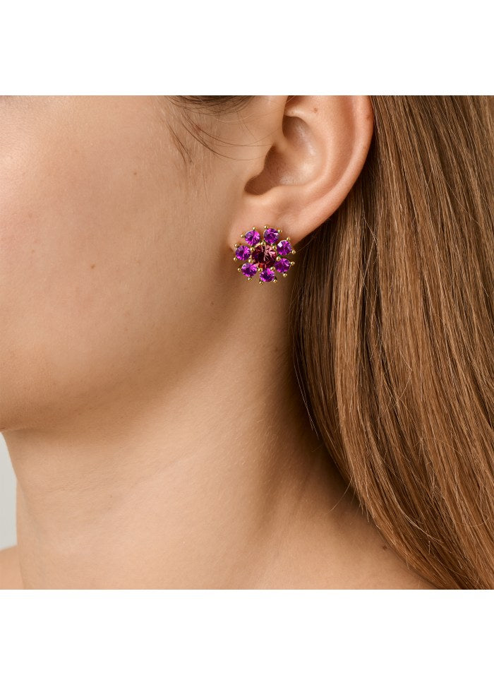 AUDE SG PINK /WINE