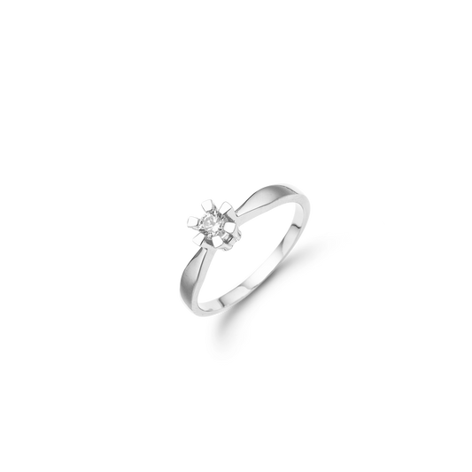 Eternity Ring 14 Karat Hvidguld Med 0,20ct W/SI Diamant