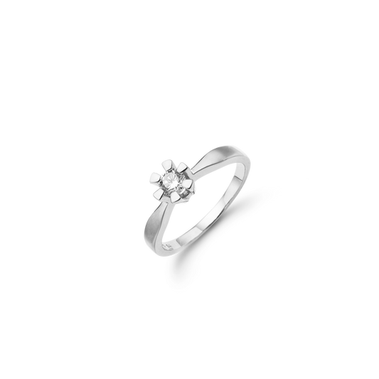 Eternity Ring 14 Karat Hvidguld Med 0,30ct W/SI Diamant
